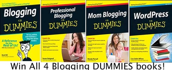 Blogging For Dummies Giveaway {Ends 2/28} - With Our Best - Denver ...