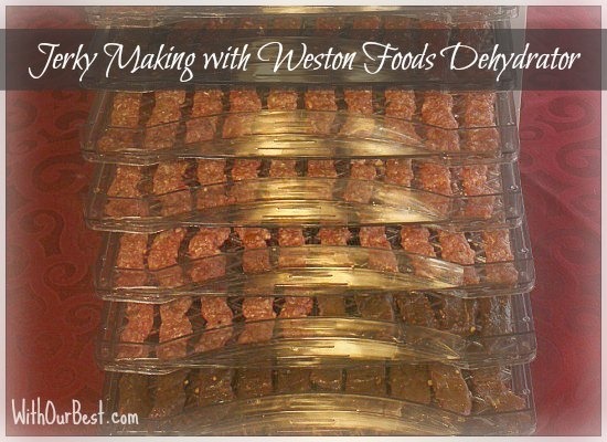 Making Jerky with Weston Food Dehydrator {Review} - With Our Best - Denver  Lifestyle Blog